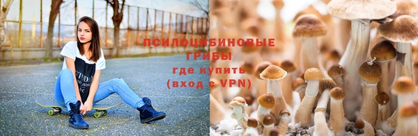 прущие крисы Козловка