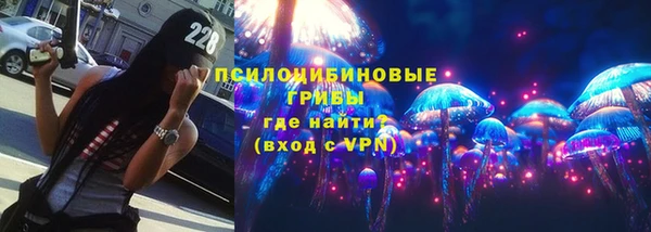 прущие крисы Козловка