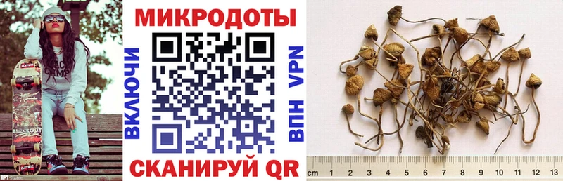 Купить  Баймак  Галлюциногенные грибы мухоморы 